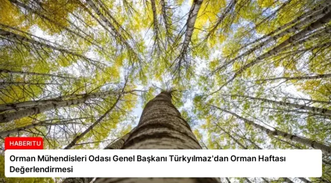 Orman Mühendisleri Odası Genel Başkanı Türkyılmaz’dan Orman Haftası Değerlendirmesi