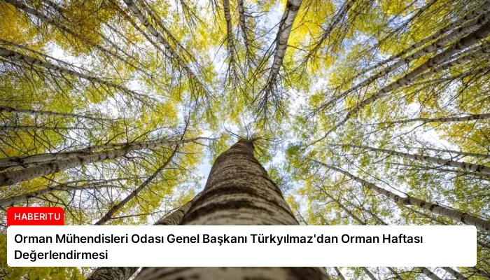 Orman Mühendisleri Odası Genel Başkanı Türkyılmaz’dan Orman Haftası Değerlendirmesi
