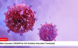 Bilim İnsanları CRISPR ile HIV Enfekte Hücreleri Temizledi