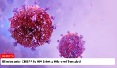Bilim İnsanları CRISPR ile HIV Enfekte Hücreleri Temizledi