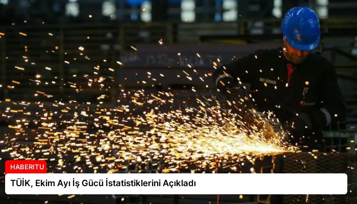 TÜİK, Ekim Ayı İş Gücü İstatistiklerini Açıkladı