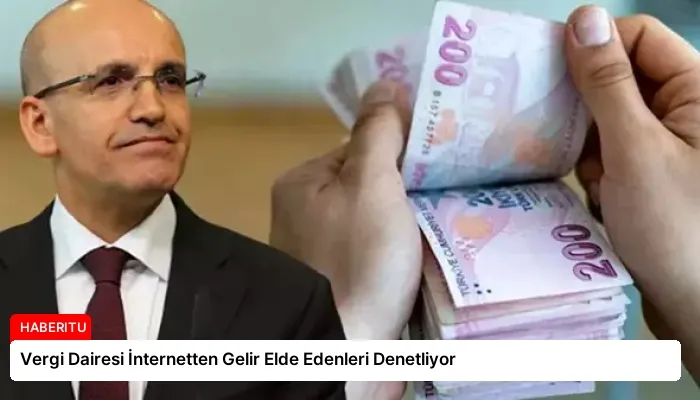 Vergi Dairesi İnternetten Gelir Elde Edenleri Denetliyor