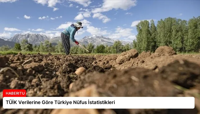 TÜİK Verilerine Göre Türkiye Nüfus İstatistikleri