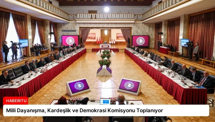Milli Dayanışma, Kardeşlik ve Demokrasi Komisyonu Toplanıyor