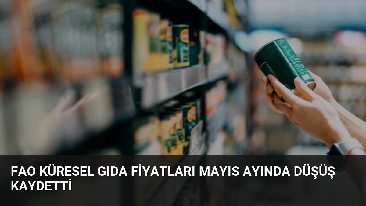 FAO Küresel Gıda Fiyatları Mayıs Ayında Düşüş Kaydetti
