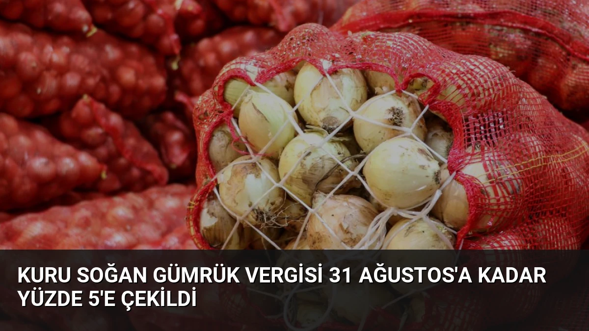 Kuru Soğan Gümrük Vergisi 31 Ağustos’a Kadar Yüzde 5’e Çekildi