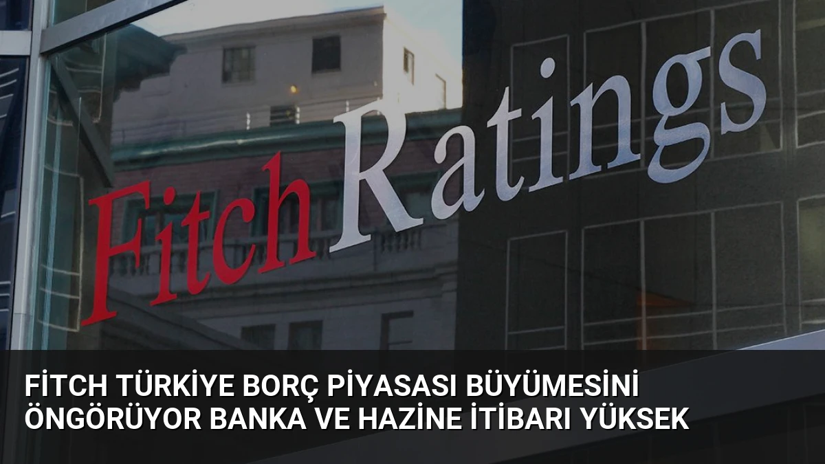 Fitch Türkiye Borç Piyasası Büyümesini Öngörüyor Banka ve Hazine İtibarı Yüksek