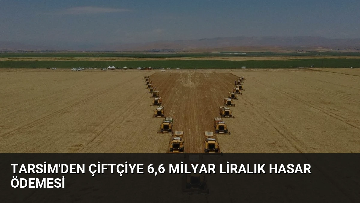 TARSİM’den çiftçiye 6,6 milyar liralık hasar ödemesi