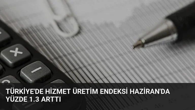Türkiye’de Hizmet Üretim Endeksi Haziran’da Yüzde 1.3 Arttı