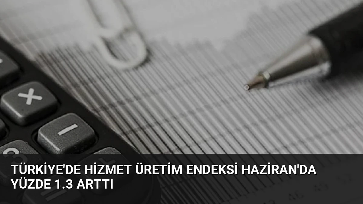 Türkiye’de Hizmet Üretim Endeksi Haziran’da Yüzde 1.3 Arttı