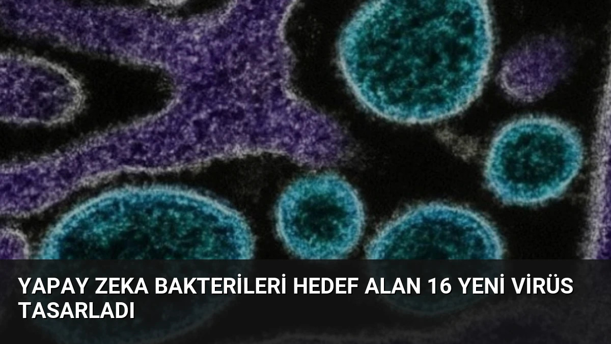 Yapay Zeka Bakterileri Hedef Alan 16 Yeni Virüs Tasarladı