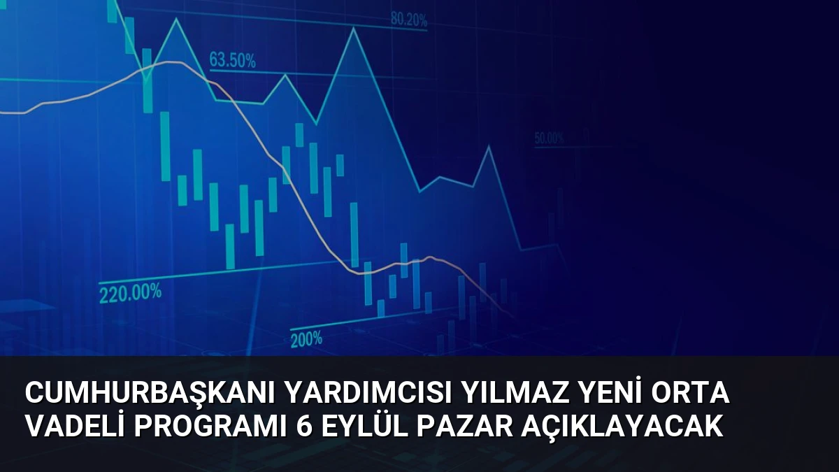 Cumhurbaşkanı Yardımcısı Yılmaz Yeni Orta Vadeli Programı 6 Eylül Pazar Açıklayacak