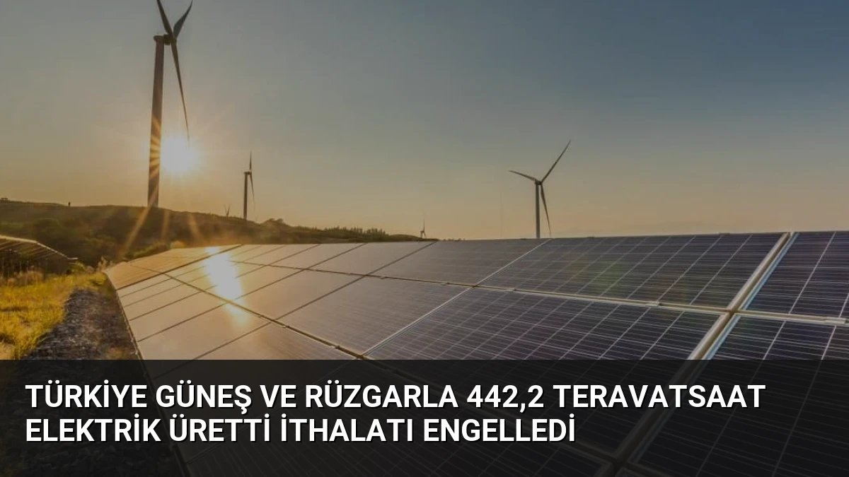Türkiye Güneş ve Rüzgarla 442,2 Teravatsaat Elektrik Üretti İthalatı Engelledi