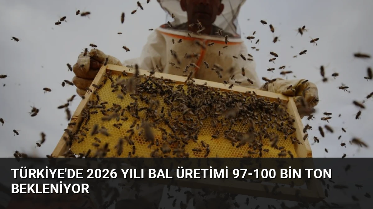 Türkiye’de 2026 Yılı Bal Üretimi 97-100 Bin Ton Bekleniyor