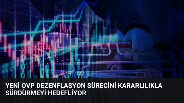 Yeni OVP Dezenflasyon Sürecini Kararlılıkla Sürdürmeyi Hedefliyor